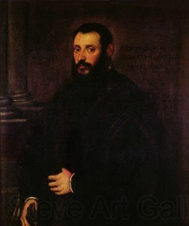 Jacopo Tintoretto Portrait of Nicolaus Padavinus